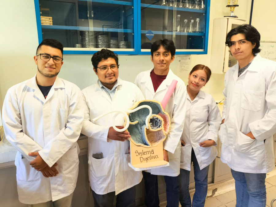 El servicio social fortalece la formación en la Facultad de Medicina Veterinaria y Zootecnia, Campus II
