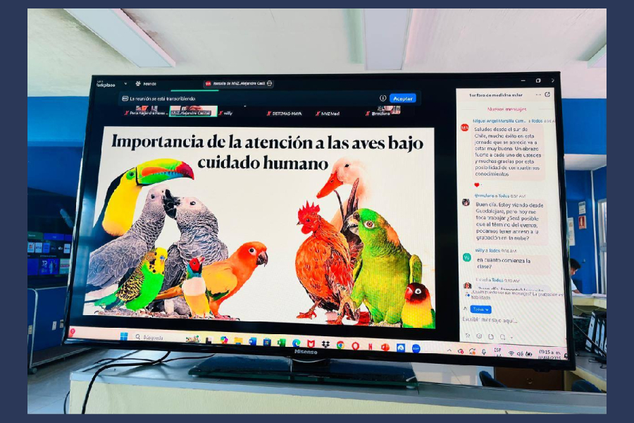 UNACH realiza exitoso Primer Foro Internacional Online en Medicina Aviar