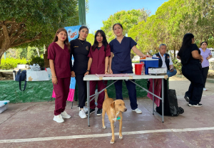 Alumnos de Veterinaria-UNACH, Campus II, participan en Campaña de Vacunación y Desparasitación en Emiliano Zapata