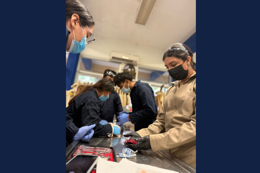 Fortalecen prácticas académicas la formación integral en Medicina Veterinaria en la UNACH