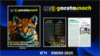 Gaceta Enero 2025