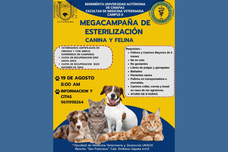 Campaña de esterilización canina y felina en la FMVZ