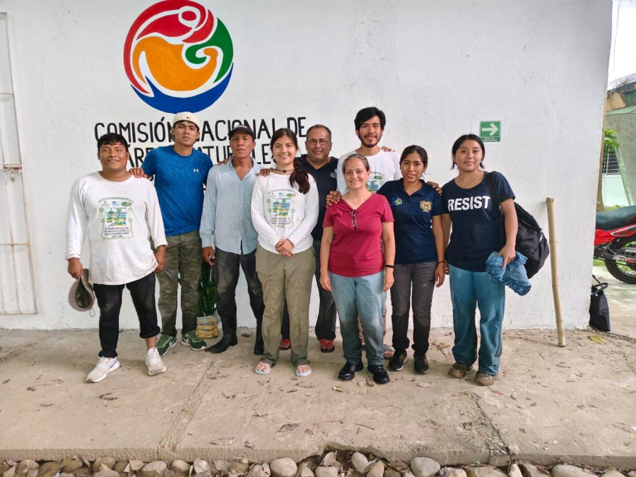 Impulsan la formación de Ingeniería Forestal en manglares de La Encrucijada