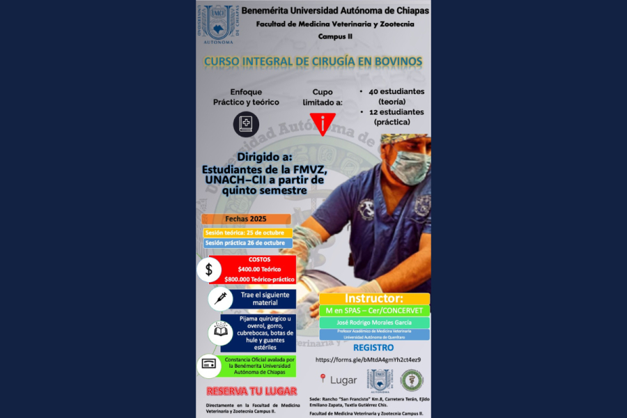 Impulsa FMVZ C-II la formación práctica con el Curso Integral de Cirugía en Bovinos