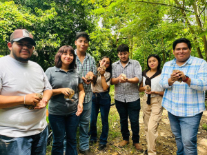 Estudiantes de la Facultad Maya aprenden el potencial de la crianza de codornices