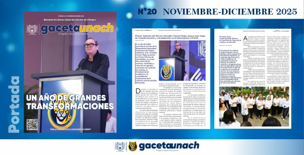 Gaceta noviembre diciembre 2025