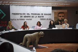 UNACH reafirma su compromiso con la igualdad de género en la presentación del Programa de la SGGyM
