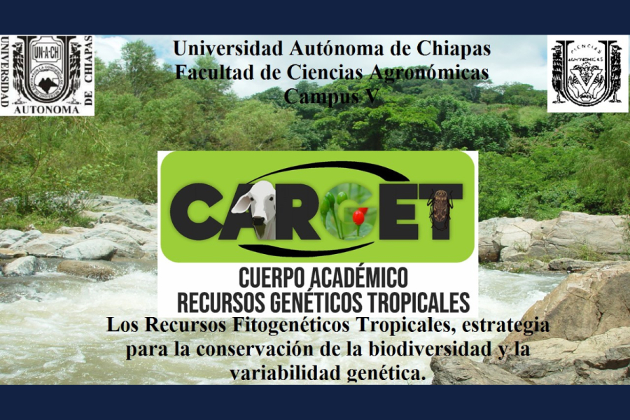 Invita UNACH al Tercer Seminario sobre recursos fitogenéticos tropicales