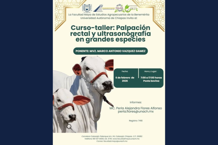 Curso-taller “Palpación rectal y ultrasonografía en grandes especies” en la Facultad Maya de Estudios Agropecuarios