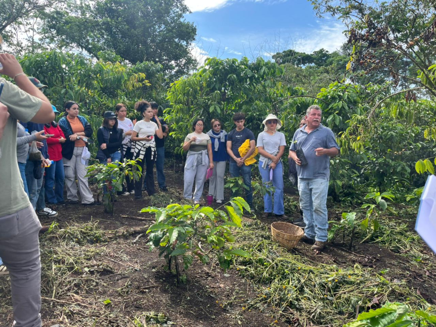 Estudiantes realizan práctica sobre turismo rural cafetalero en el Soconusco