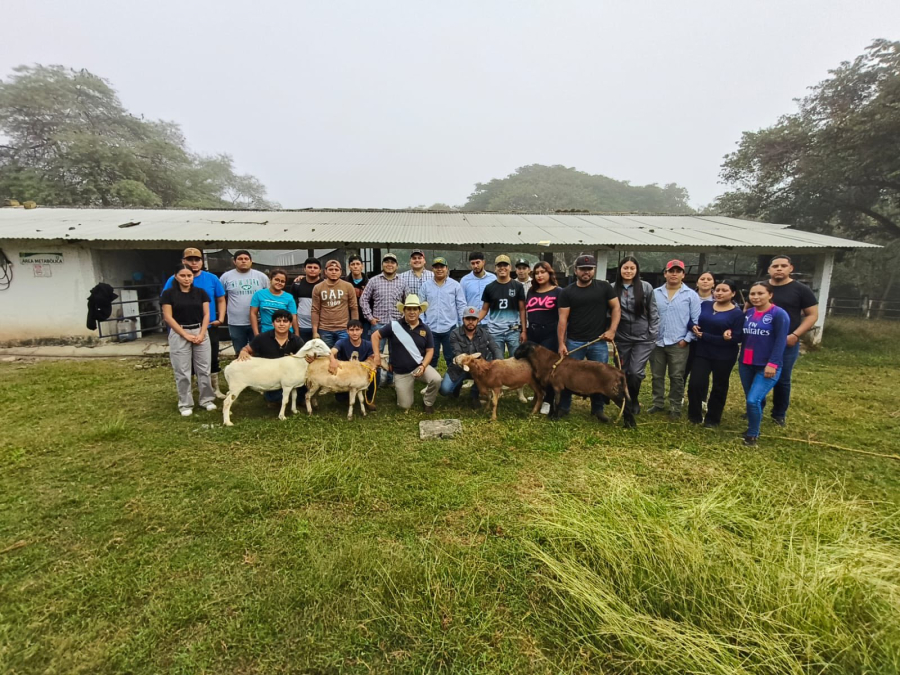 Facultad de Ciencias Agronómicas Campus V de la UNACH concluye con éxito proyecto de engorda de borregos