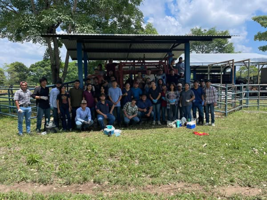 Impulsa UNACH Facultad de Medicina Veterinaria y Zootecnia formación práctica desde el primer semestre