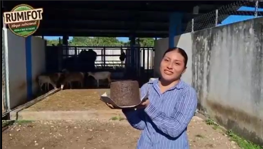 UNACH impulsa innovación rural en Facultad Maya de Estudios Agropecuarios