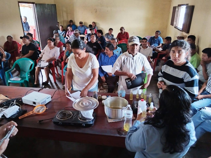 Realiza UNACH taller para rescatar medicina tradicional con plantas de agroecosistemas en Villa Comaltitlán